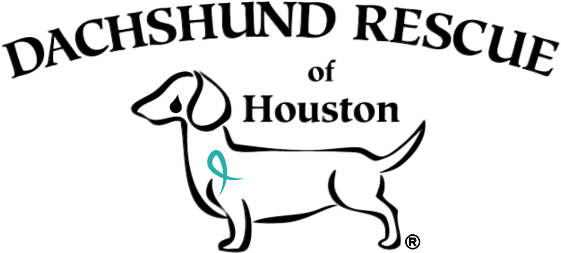 Dachshund Rescue Of Houston (1200x300), Png Download