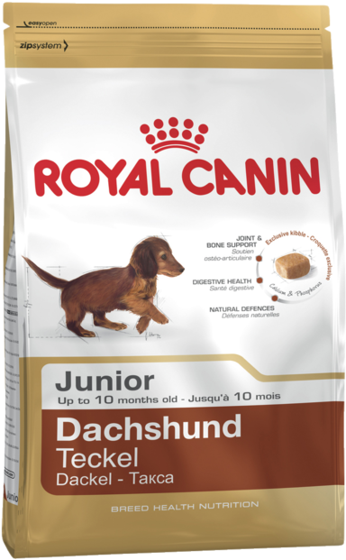Dachshund 28 Adult Product Bag - Royal Canin (650x650), Png Download