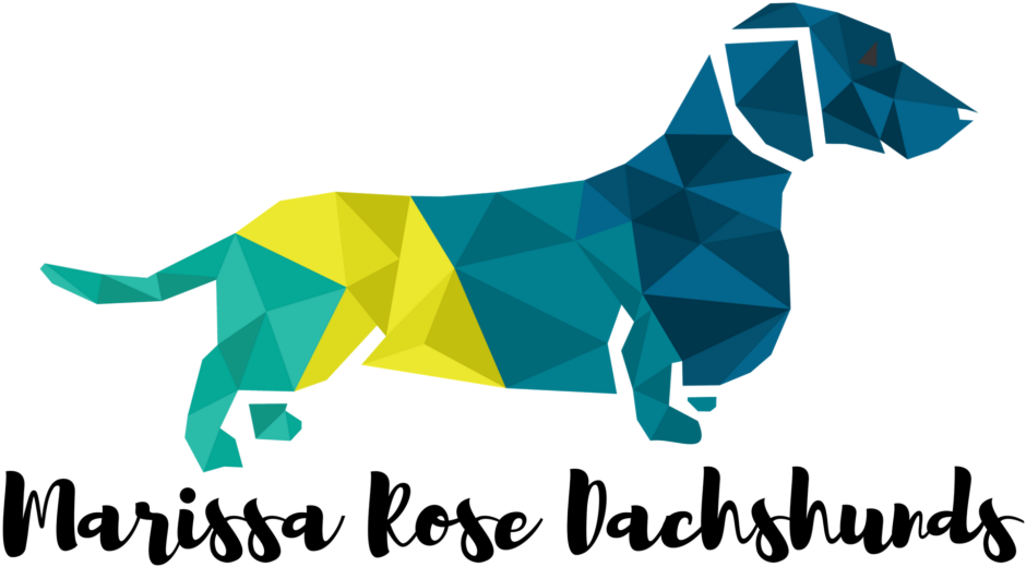 Available Puppies - Lose Weight Blank Book (1024x768), Png Download