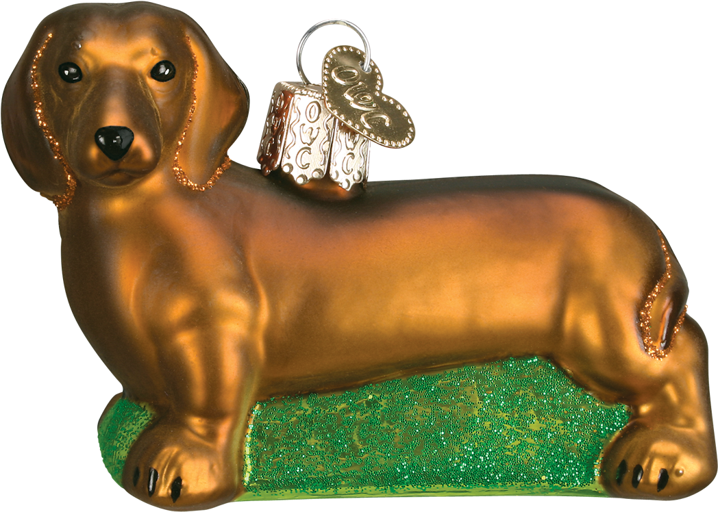 Old World Christmas Dachshund Glass Blown Ornament (350x350), Png Download