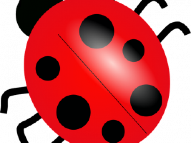 Ladybug Clipart High Resolution - Bug Clipart Png (640x480), Png Download