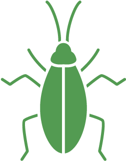Cockroaches - Orange County (501x501), Png Download