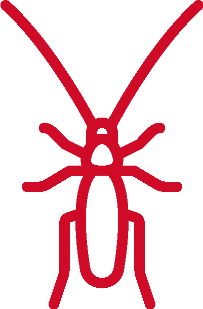 Cockroach Control - Pest (401x612), Png Download