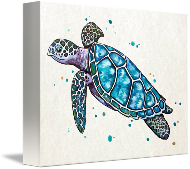 Banner Freeuse Drawing Turtle Watercolor - Teal Watercolor Sea Turtle (650x579), Png Download