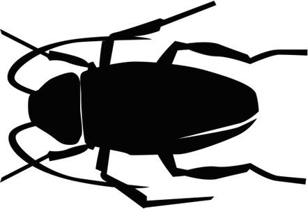 Cockroach - Leaf Beetle (442x300), Png Download