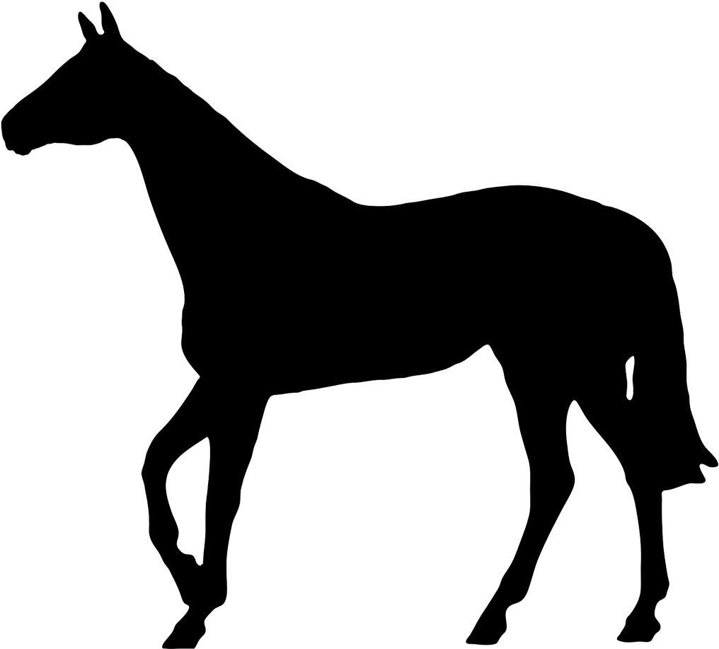 Horse Black Silhouette - Silhouette Of A Boxer Dog (1063x936), Png Download