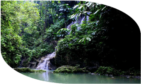 If You Love Waterfalls, This Is Definitely The Place - Frenchmans Cove (500x415), Png Download