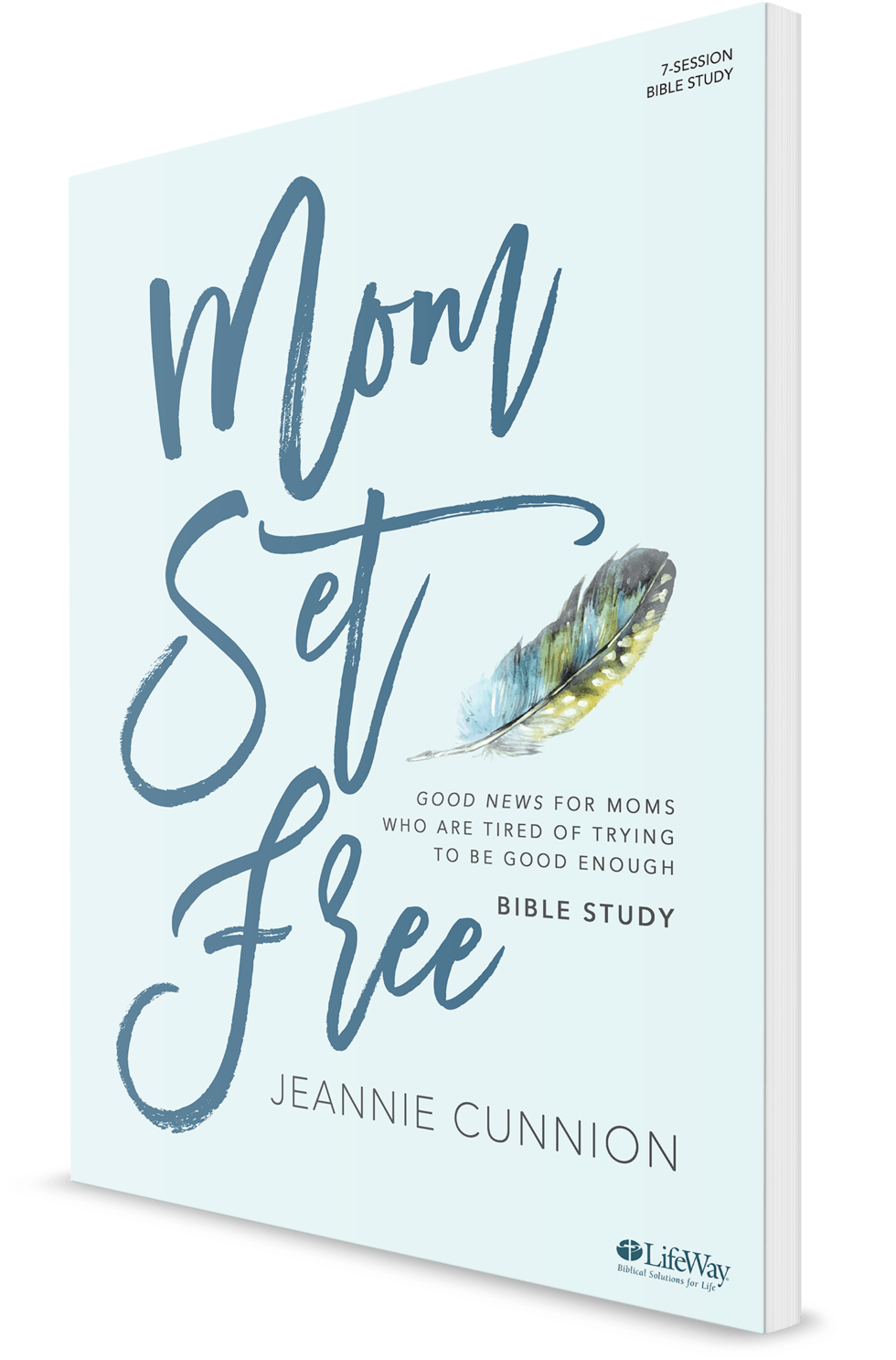 Mom Set Free Bible Study - Lifeway Christian Resources Mom Set Free - Video Bundle (1500x1500), Png Download