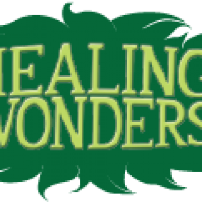 Bible Study Healing Wonder - Illustration (400x400), Png Download