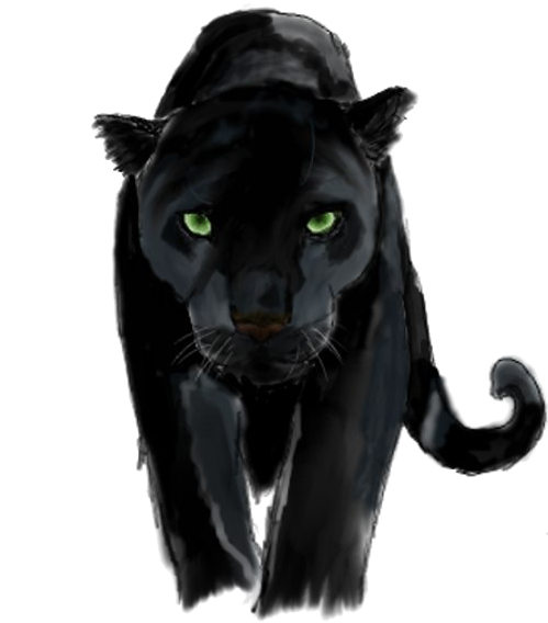 Panther Png Background Image - Panther Png (500x640), Png Download