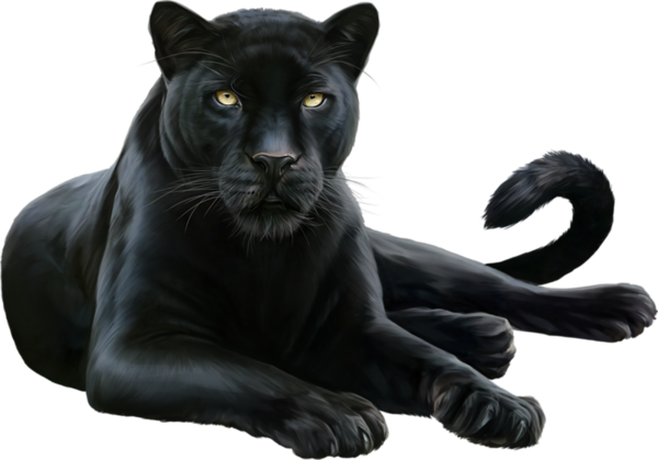 Panther Png Hd - Panther Png (600x419), Png Download