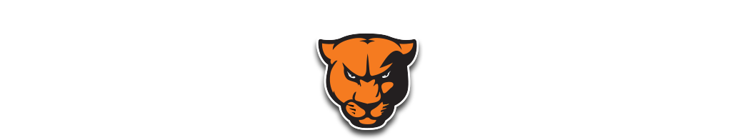 Greenville Panthers (1080x225), Png Download