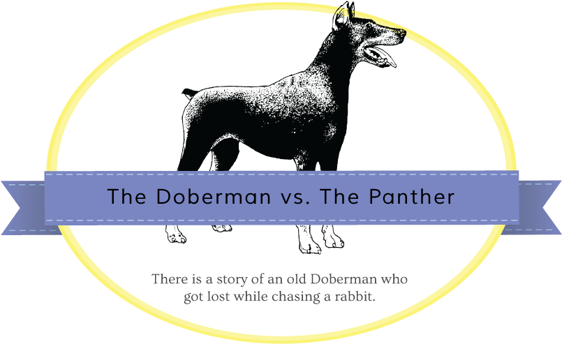 Doberman-panther - Doberman Pinscher Dog Vintage Metal Animal Retro Tin (806x511), Png Download