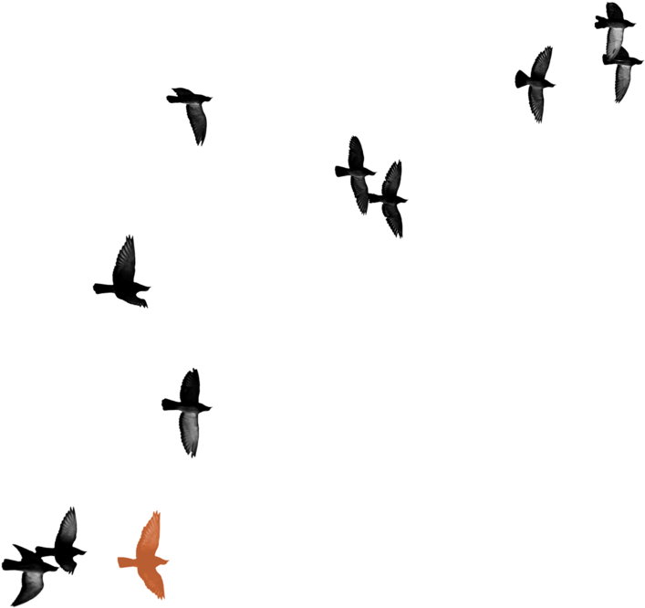 Elaine Summers - Portable Network Graphics (1000x711), Png Download