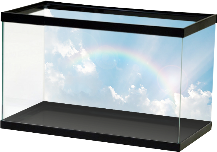 Specialty Rainbowsky (800x800), Png Download