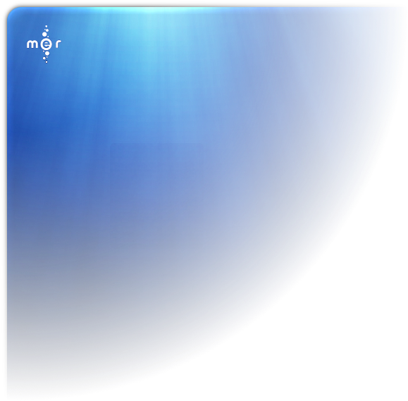 31, 23 January 2009 - Blue Faded Background Png (726x608), Png Download