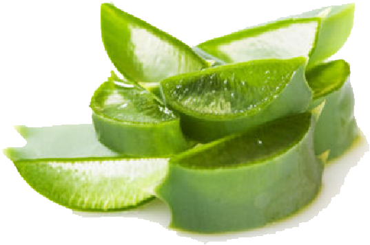 Aloe Vera - Aloe Vera Gel Transparent (600x600), Png Download