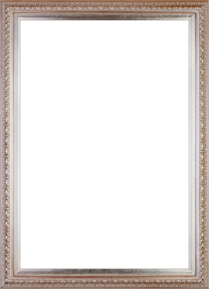 Elegant Champagne Frame - Picture Frame (724x1000), Png Download
