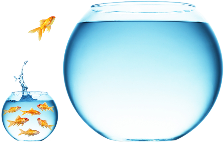 How To Find Your Blue Ocean Strategy® - Blue Ocean Strategy Fish (751x485), Png Download