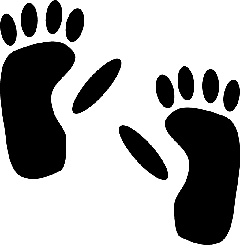 Clip Transparent Stock Footprint Clipart - Gorilla Footprint (784x800), Png Download