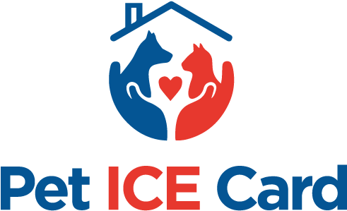 Pet 'home Alone' Ice - Graphic Design (1280x800), Png Download