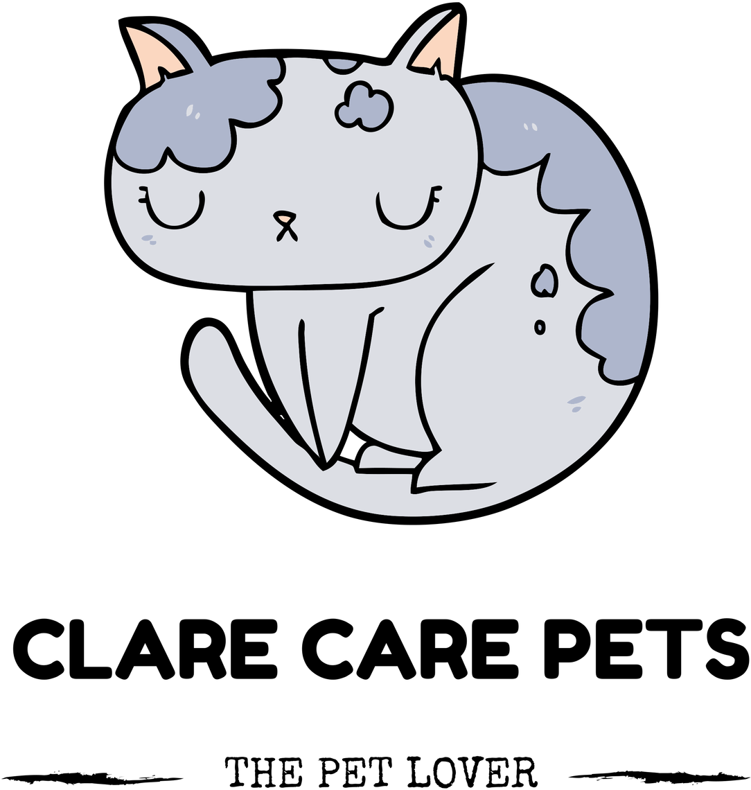 New Product Launch Under Clare Care Brand Specially - Caparol (1200x1401), Png Download