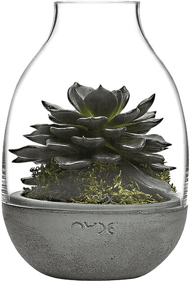 Nude (540x660), Png Download