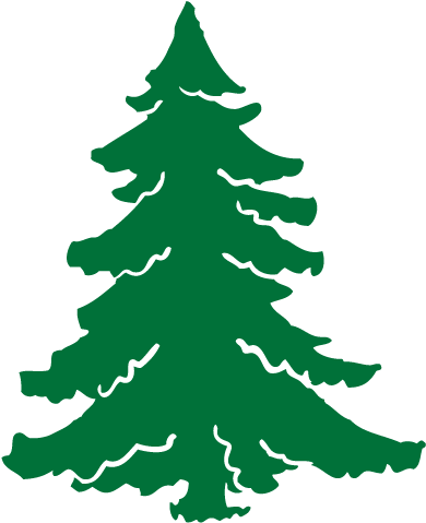 Christmas Tree Farm - Christmas Tree (569x574), Png Download