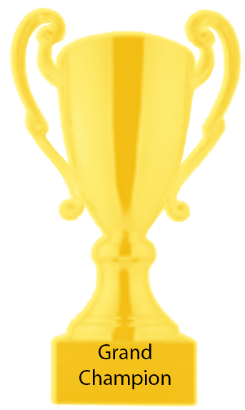 Grand Champion Champion Trophy (668x599), Png Download