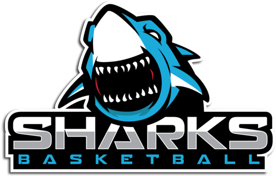 Great White Shark (600x514), Png Download