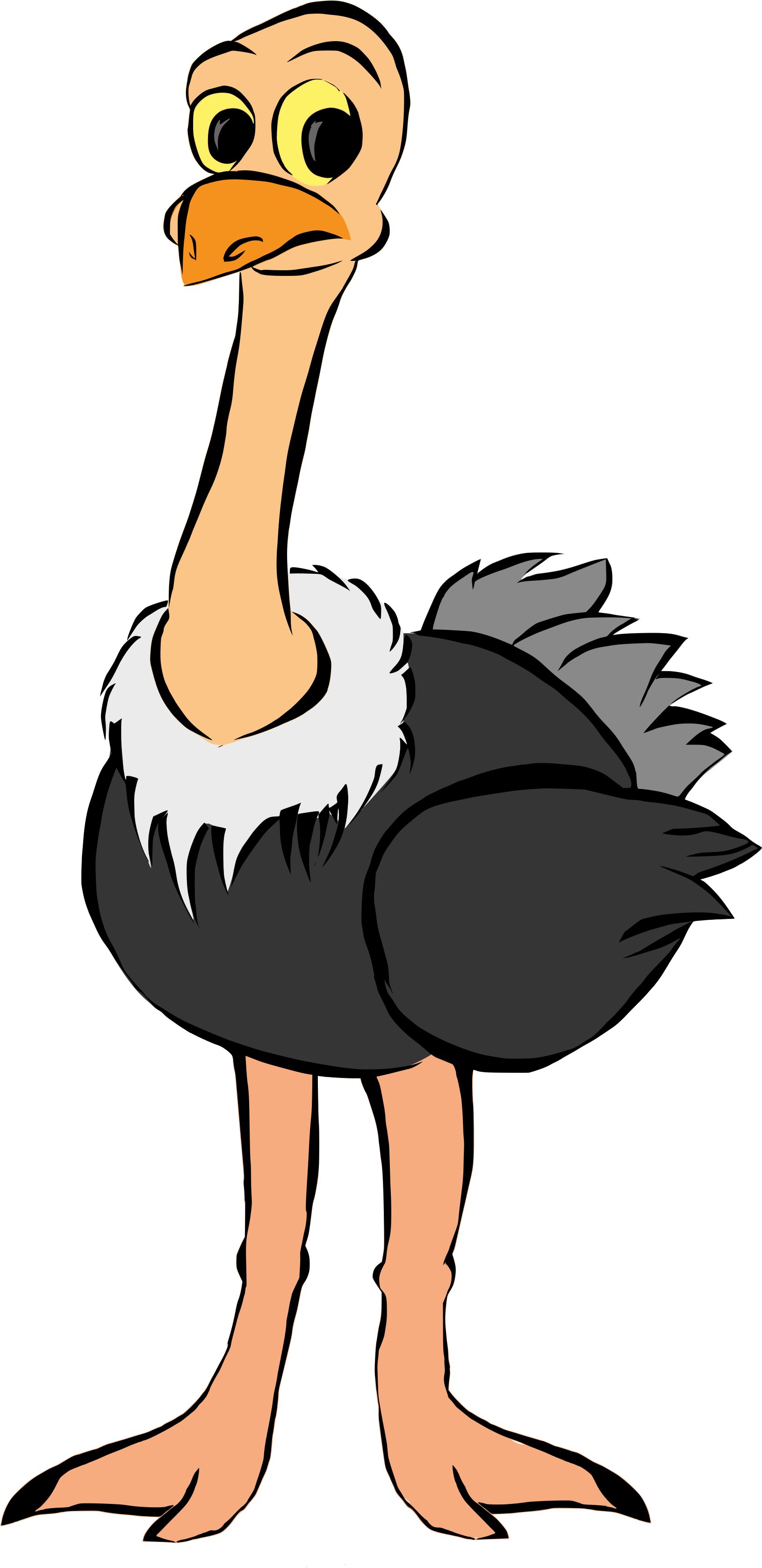 Ostrich Clipart Pixel - Art Clip Ostrich (1781x3426), Png Download