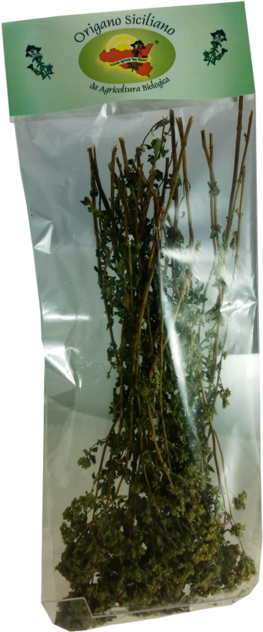 Aquarium Decor (1000x1000), Png Download