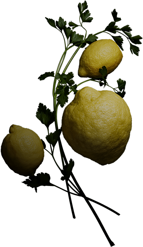 Papyrus - Sweet Lemon (800x1000), Png Download