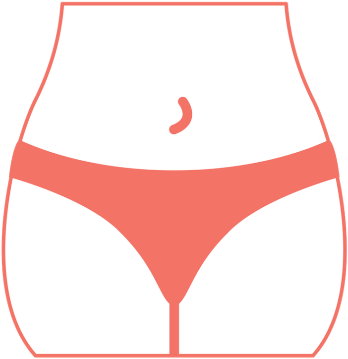 Pelvis - Bladder Incontinence - Briefs (1024x1024), Png Download