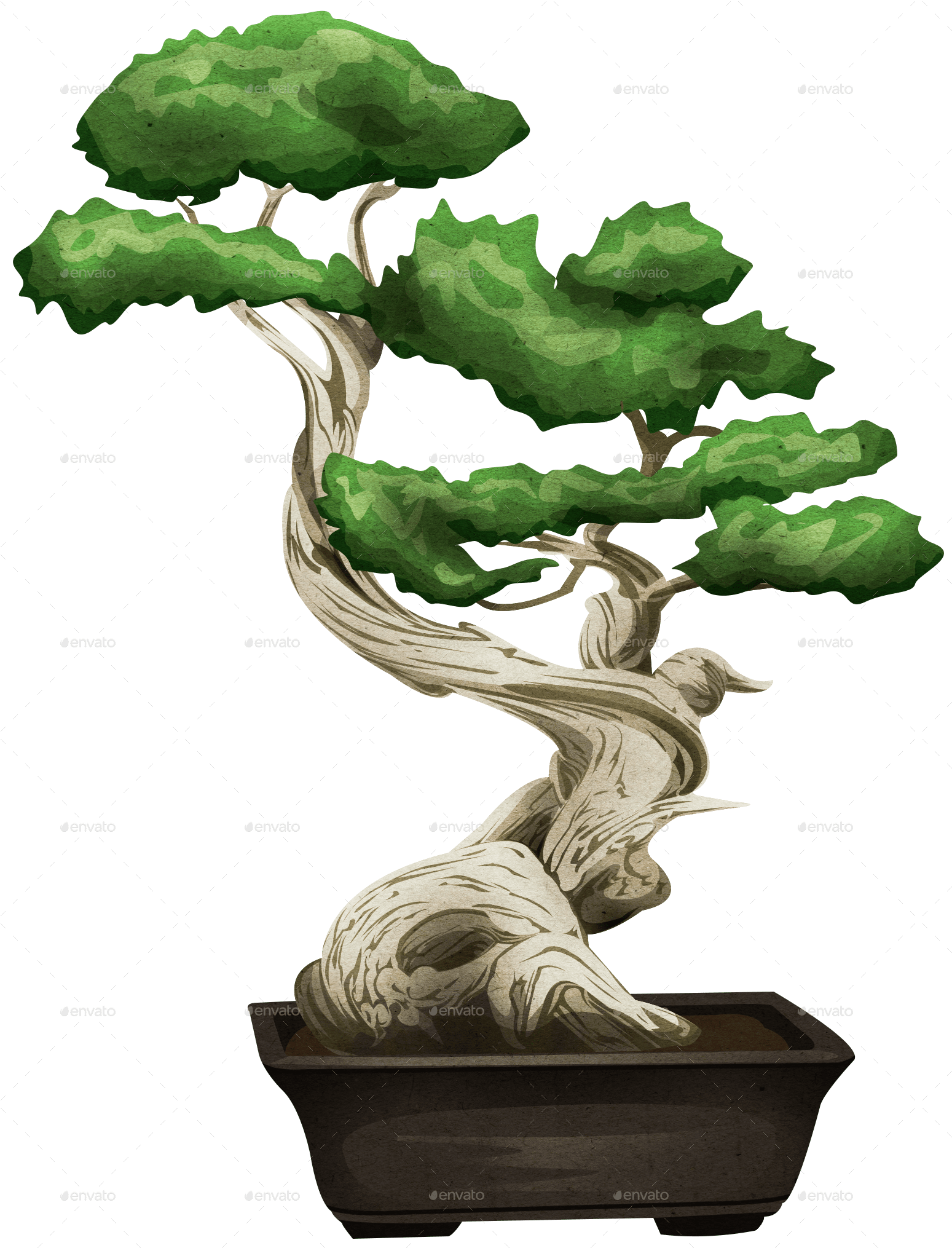 Bonsai Png (1564x2044), Png Download