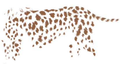 African Leopard (640x500), Png Download