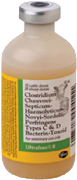 Zoetis Ultrabac - Bottle (700x700), Png Download