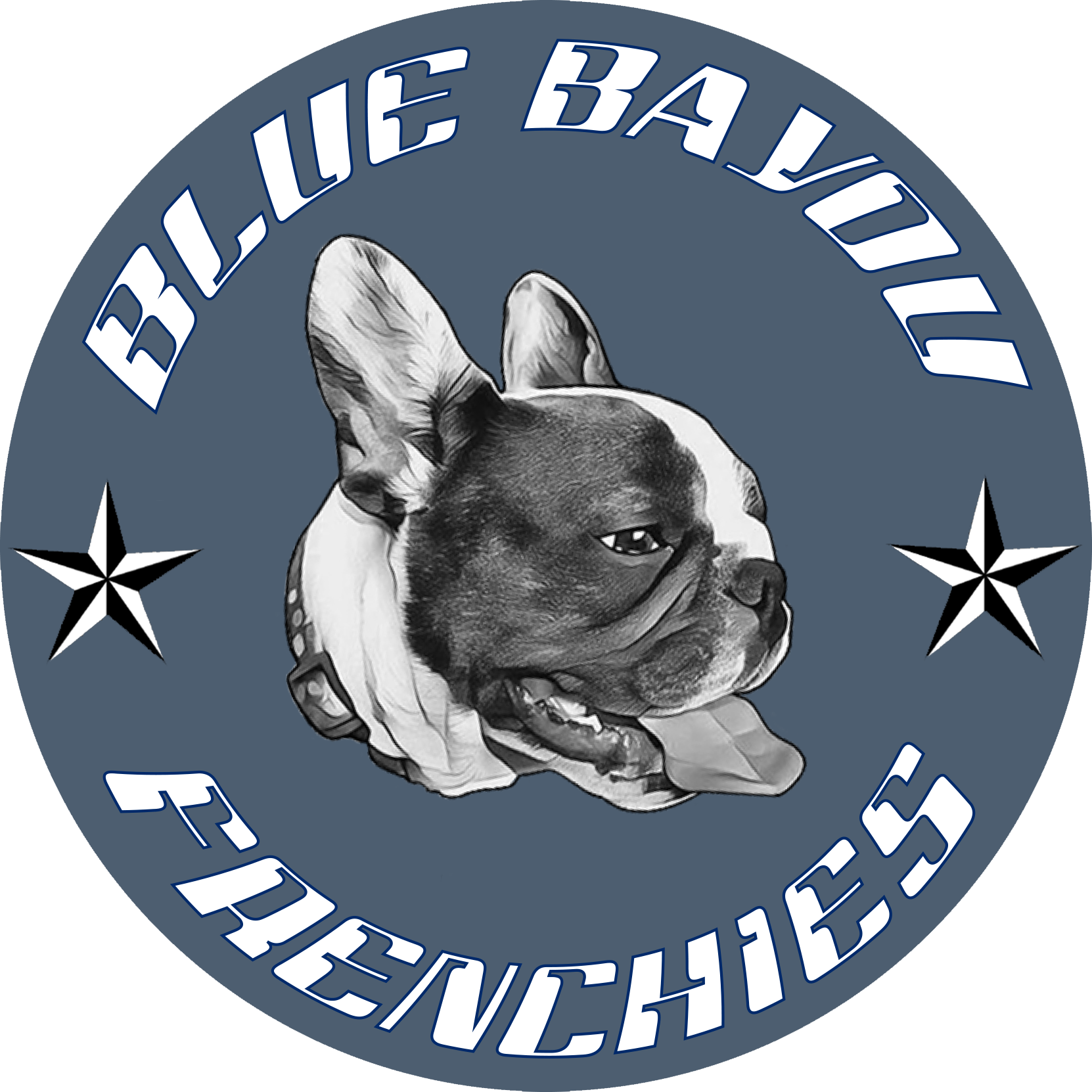 Investissement D Avenir (1662x1662), Png Download