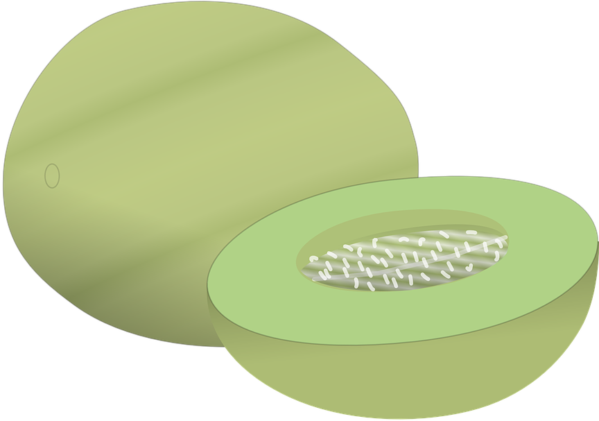 Honeydew Png - Honey Dew Melon Clipart (960x641), Png Download