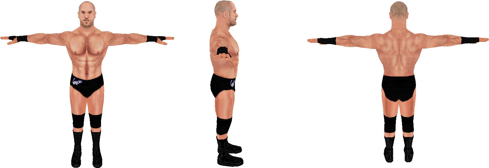 [ ] Spoiler - Professional Wrestling (1783x642), Png Download