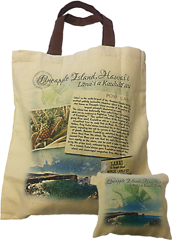 Hbb-170 Bag In Bag - Tote Bag (1000x1000), Png Download