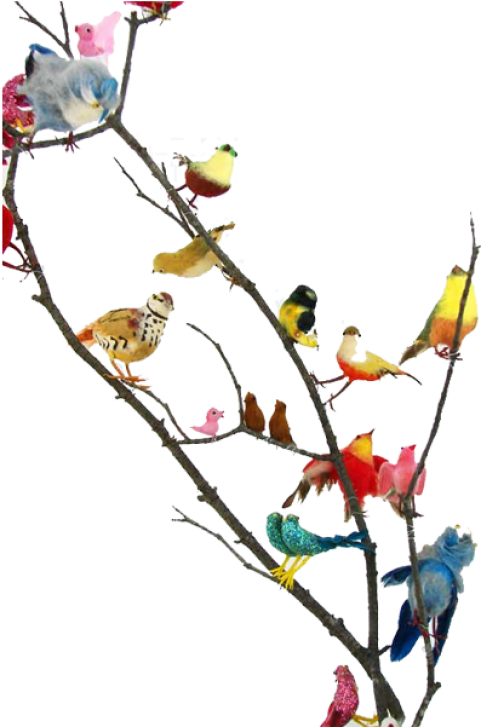 Free Png Download Vintage Bird Png Images Background (481x727), Png Download