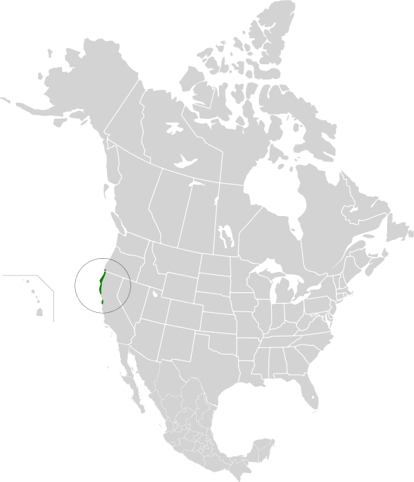 Northern California Coastal Forests - Sonoran Desert On North America Map (600x698), Png Download