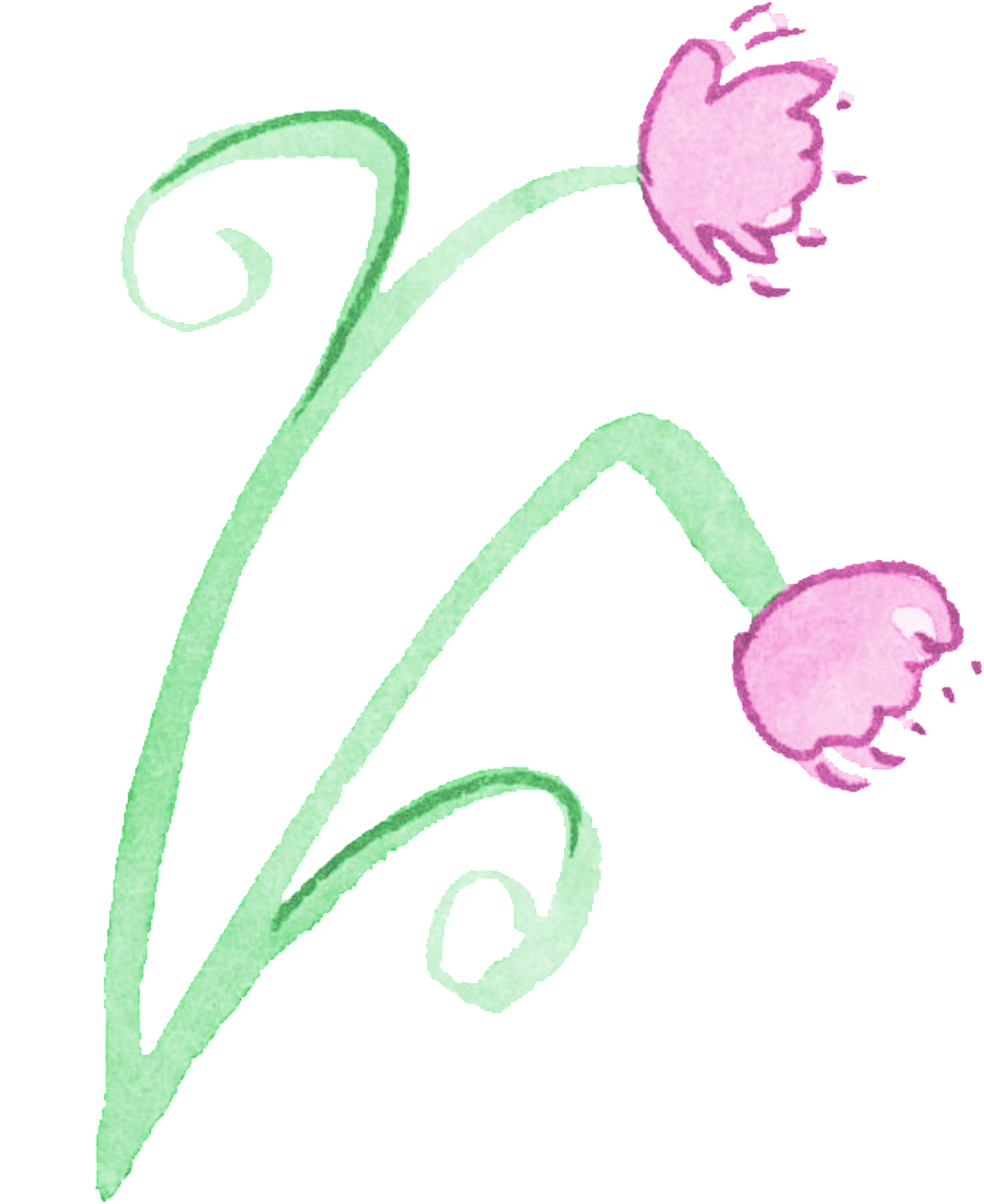 Line Flower Cartoon Transparent - Drawing (1024x1252), Png Download