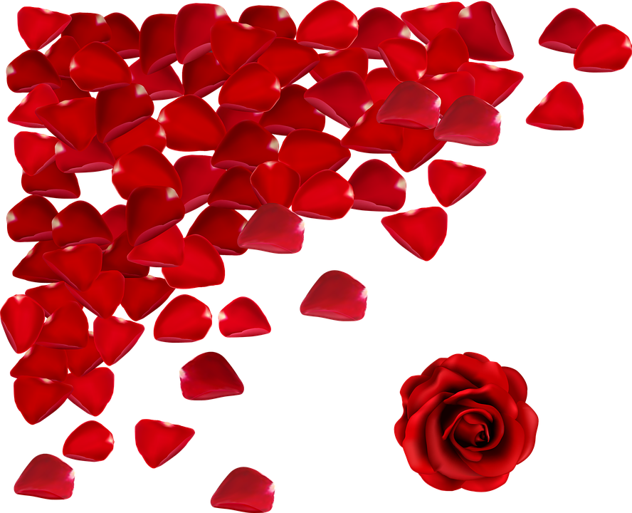 Red Flowers Png - Roses Petals Falling Png (888x720), Png Download