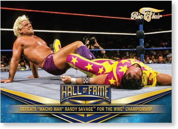 Gallery - Wwe Hall Of Fame (700x700), Png Download