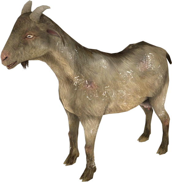 1 - Goat (1280x720), Png Download