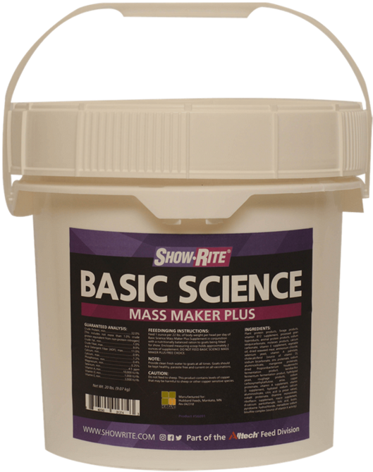 Horse Grooming (700x700), Png Download