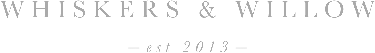 Whiskers And Willow Photography - Calligraphy (1680x376), Png Download