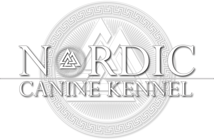 Emblem (700x458), Png Download